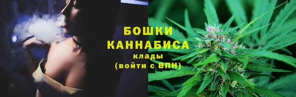 индика Бугульма