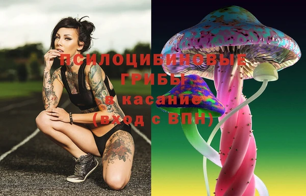 экстази Бородино