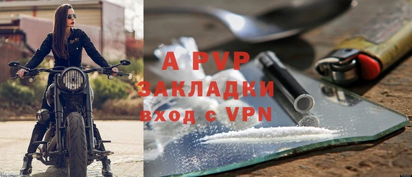 индика Бугульма